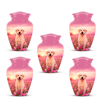 Pack of 5 Keepsake 3 inch