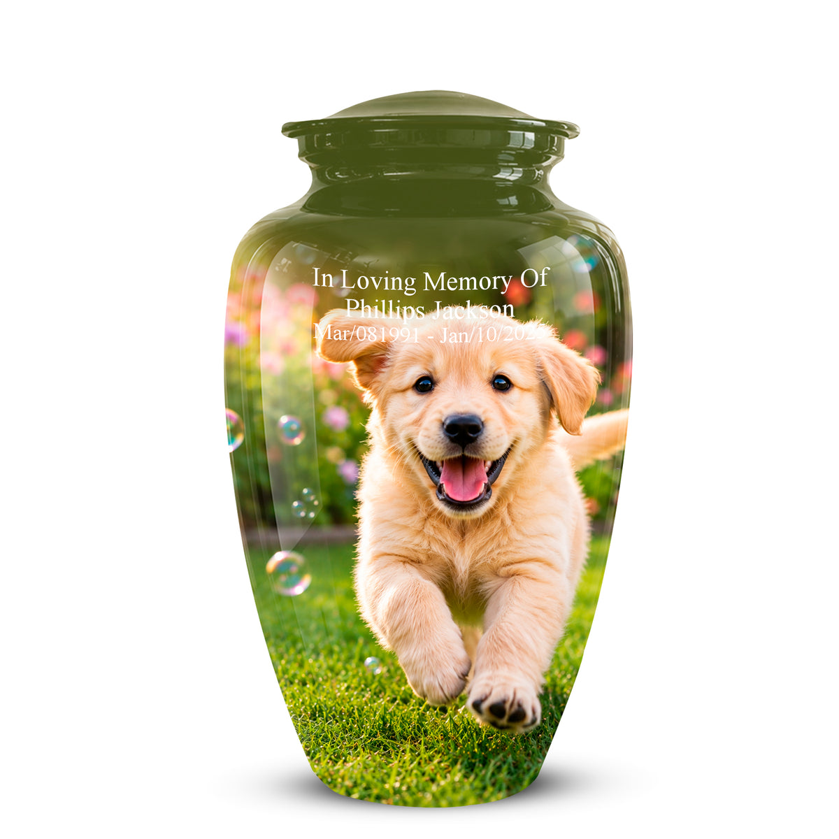 A glossy dark green pet memorial urn with a lid, featuring a printed photo of a golden retriever puppy running on grass with the text 'In Loving Memory Of Phillips Jackson' and dates on the front.