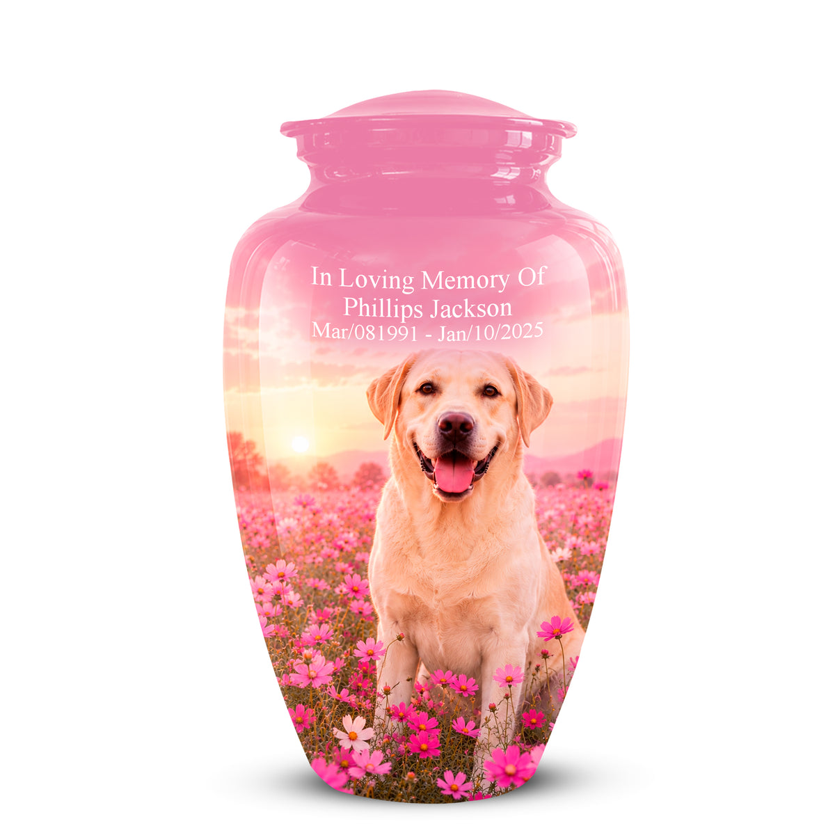 A pink pet memorial urn with a printed photo of a yellow Labrador retriever sitting in a field of pink flowers at sunset. White engraved text on the front reads, 'In Loving Memory Of Phillips Jackson Mar,081991 - Jan,102025'.