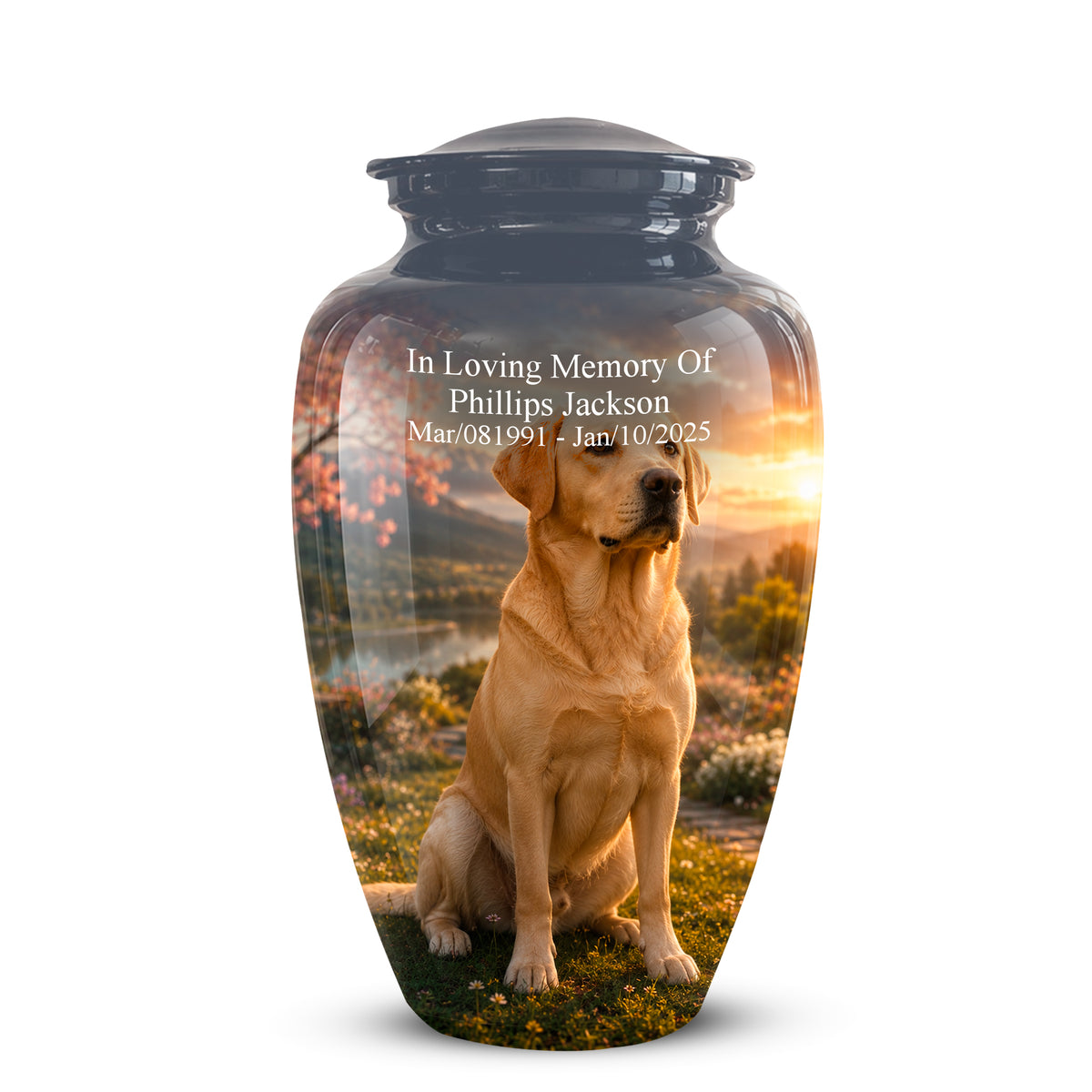 A glossy black memorial urn with a custom printed photo of a golden retriever dog sitting in a field at sunset. White text on the front reads 'In Loving Memory Of Phillips Jackson Mar/08/1991 - Jan/10/2025'.