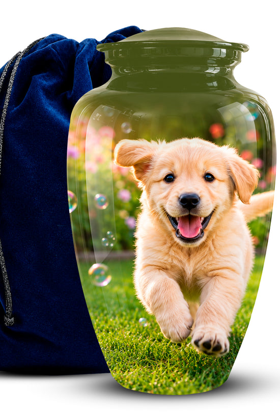A glossy green ceramic pet urn with a printed photo of a golden retriever running on grass, shown next to a dark blue velvet drawstring bag on a white background.