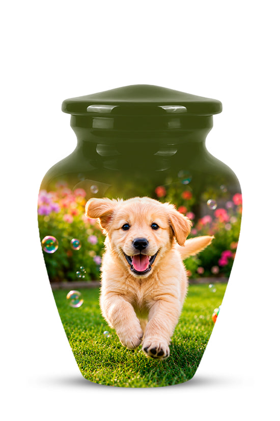 A glossy dark green pet urn with a lid, featuring a printed photo of a golden retriever puppy running on grass in a garden on the front.