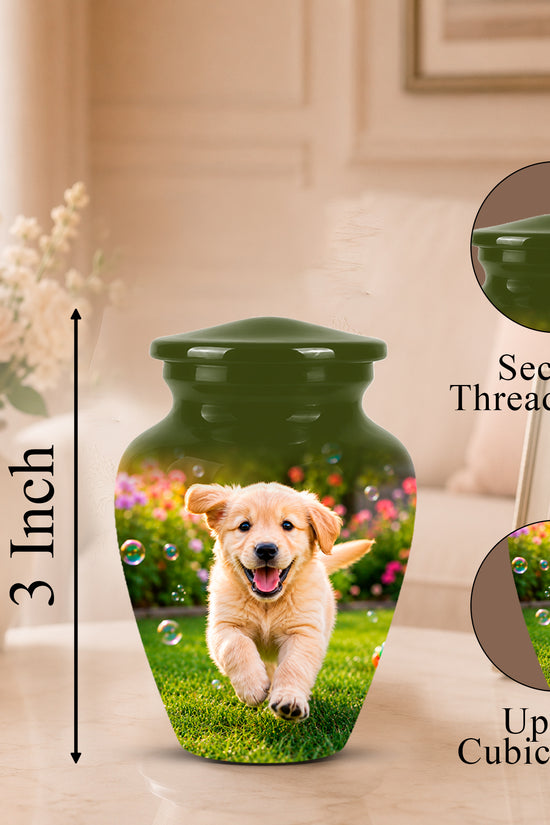 Personalized dark green urn with a printed photo of a golden retriever puppy on the front, shown in a softly lit indoor setting with measurement callouts and circular inset details about the secure threaded lid and cubic inch capacity.