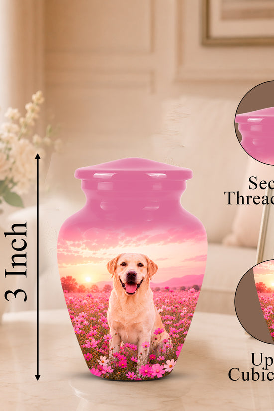 Personalized ceramic pet memorial urn with a pink lid and a printed photo of a golden retriever in a flower field at sunset. The image includes dimension text showing 3 inch height and circular inset callouts for the secure threaded lid and up to 3 cubic inches capacity, set in a softly lit indoor scene.